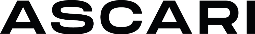 Example Logo 13